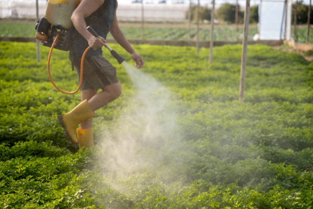 Best Exterminator Services  in Scobey, MT