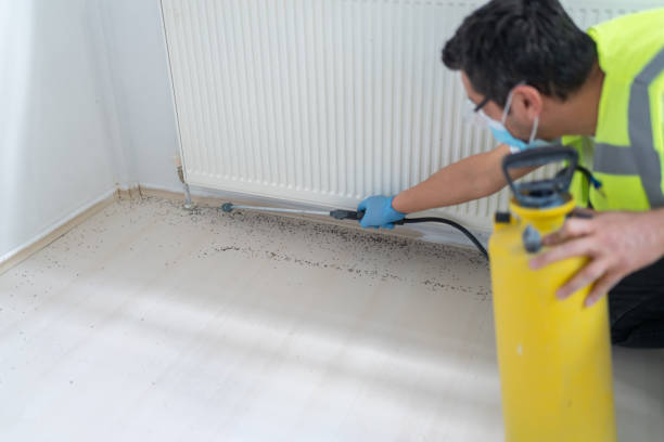 Best Residential Pest Control  in Scobey, MT